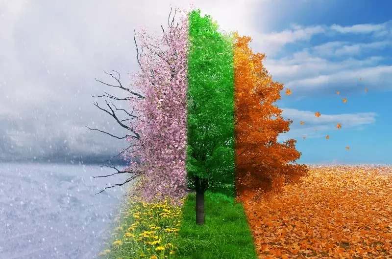 Seasonal Breakfasts: How to Eat Fresh and Local All Year Round